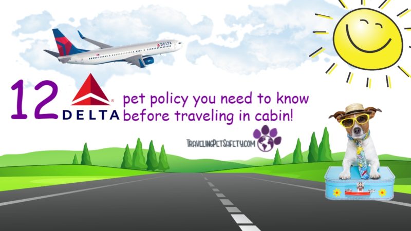 delta pet policy in cabin