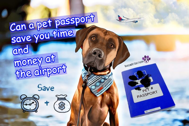 Pet passport Rhodesian Ridgeback